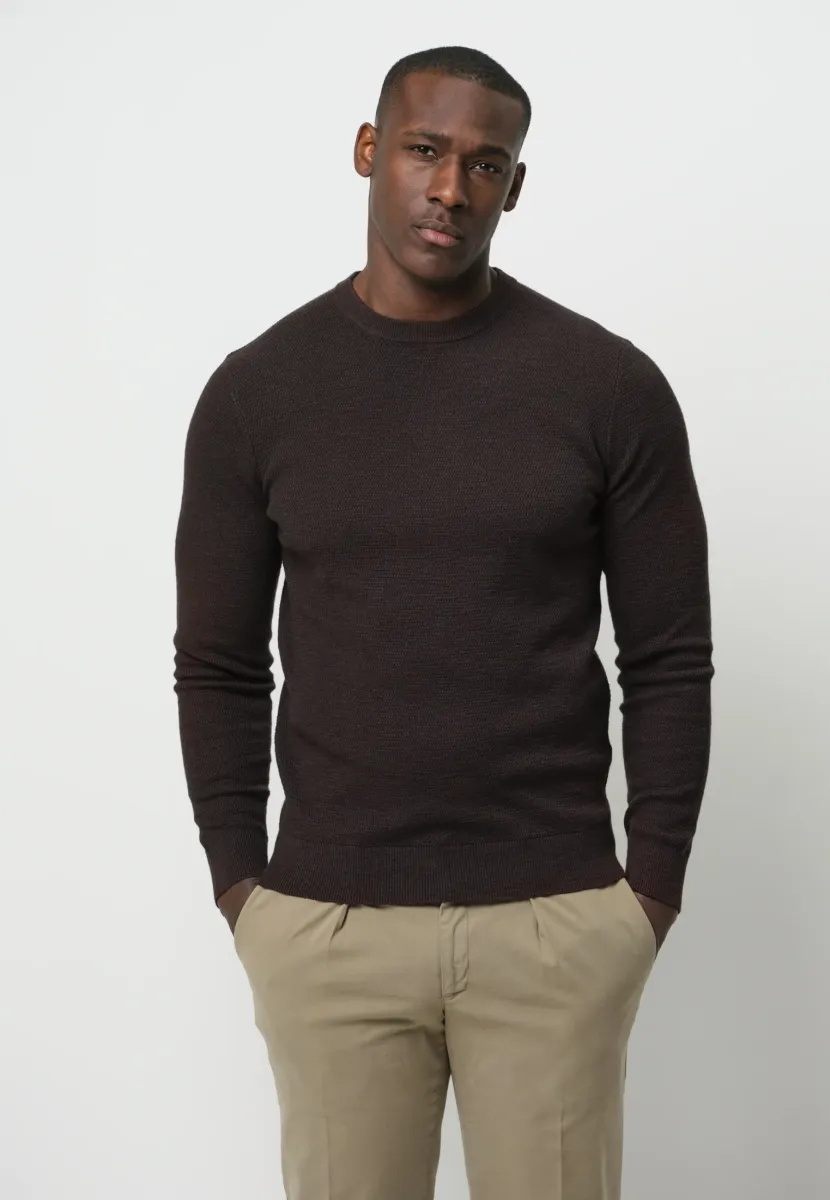 THE STRUCTURE BASIC CREW - Strickpullover - dark brown
