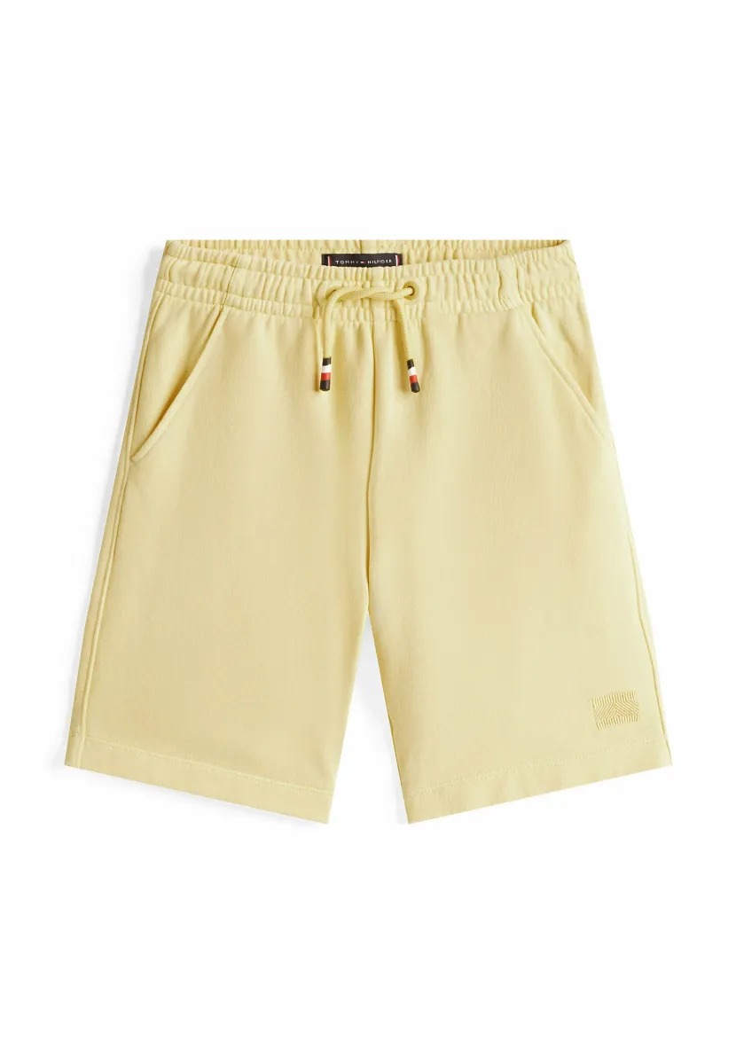 TONAL FLAG EMBROIDERY  - Jogginghose - citronella