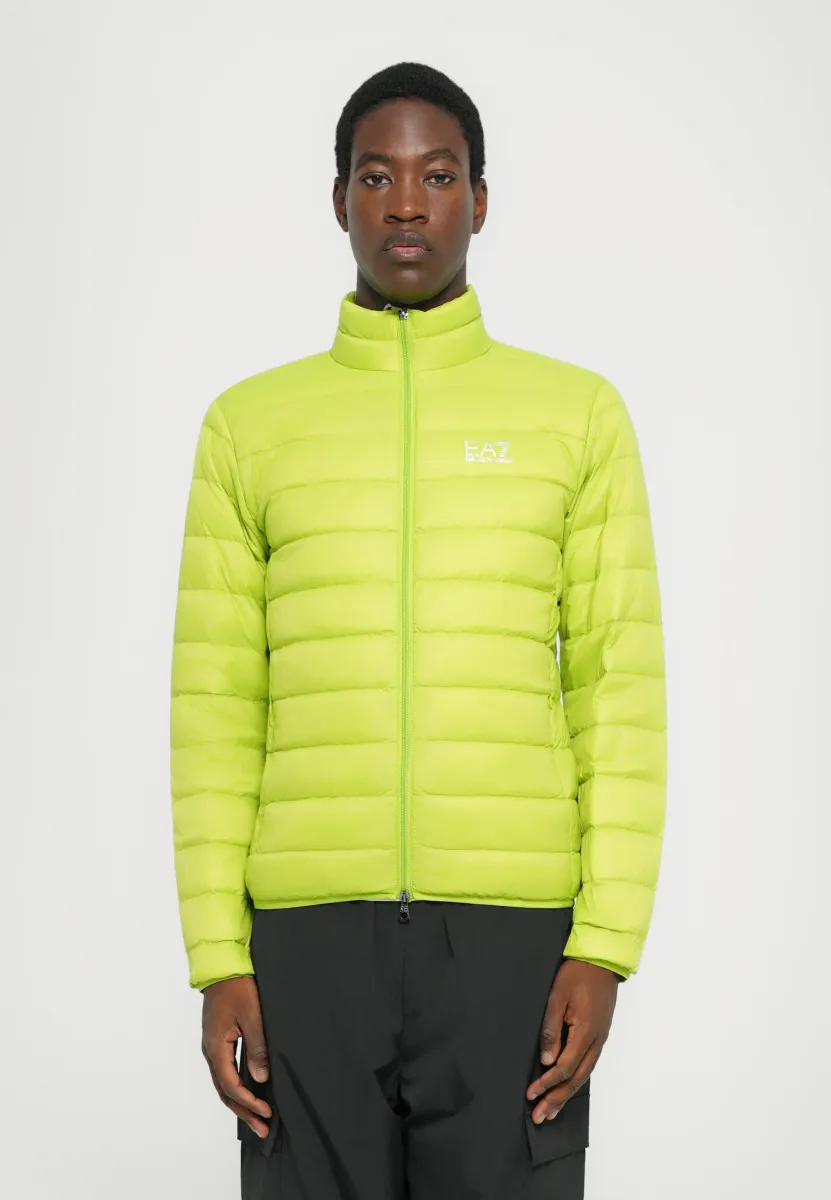 TRAIN CORE JACKET - Daunenjacke - macaw green