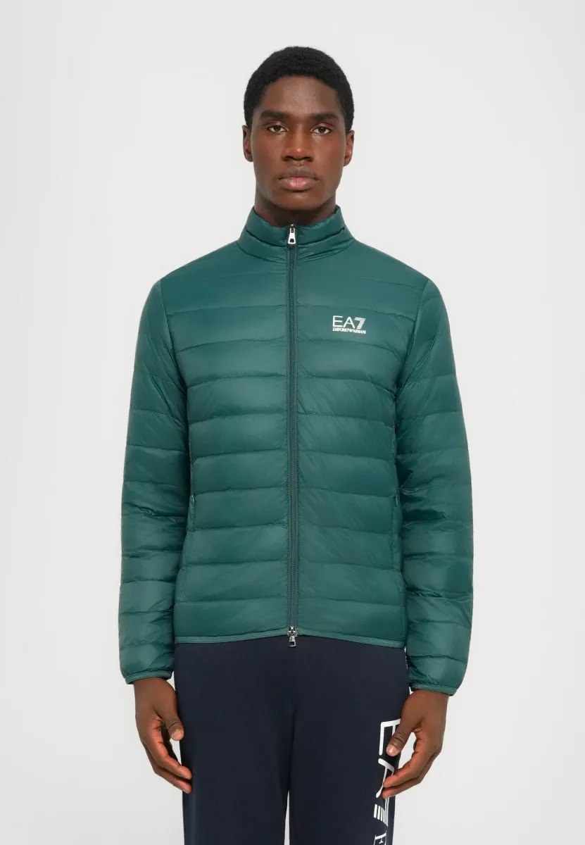 TRAIN CORE JACKET - Daunenjacke - ponderosa pine