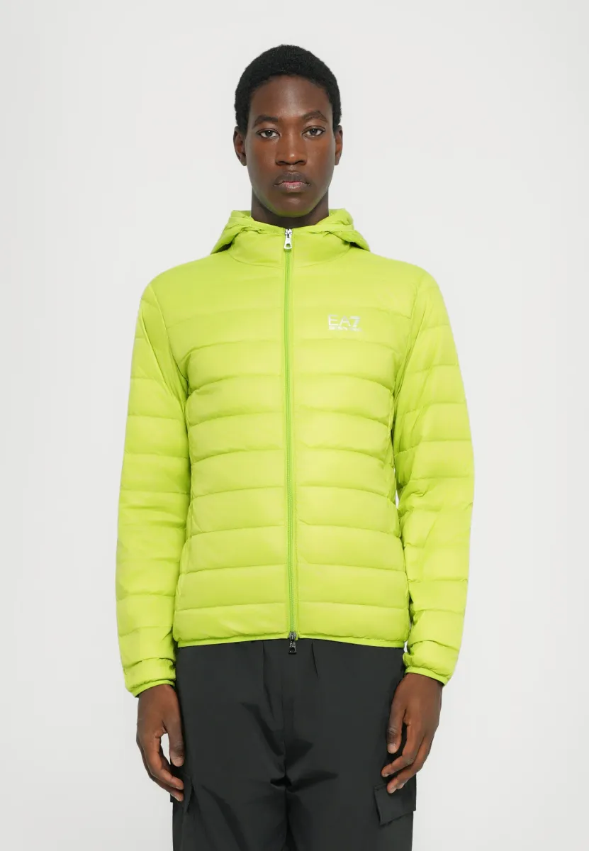 TRAIN CORE LIGHT JACKET - Daunenjacke - macaw green