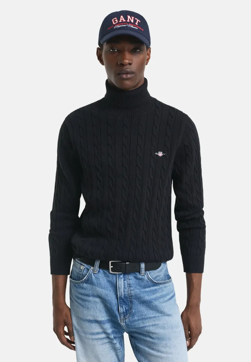 TURTLE NECK - Strickpullover - black