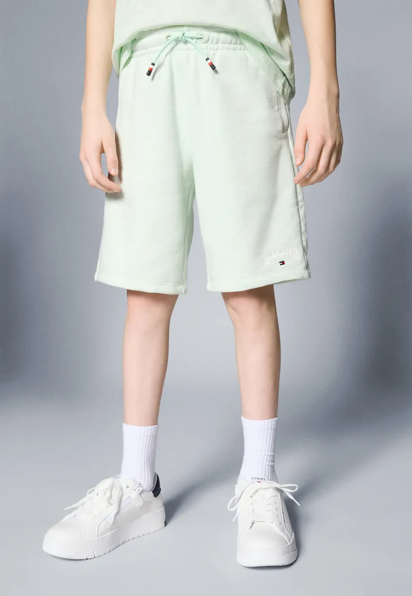 VARSITY UNISEX - Shorts - dew green heather