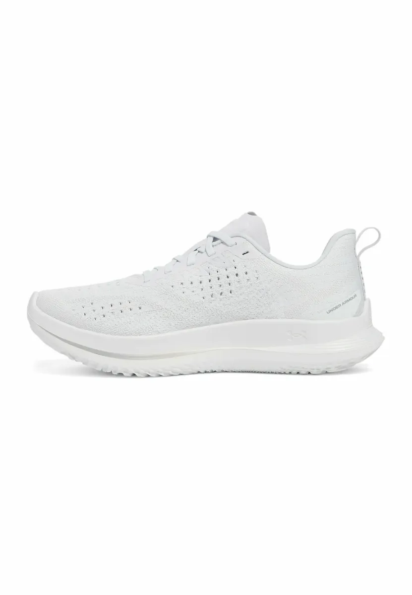 VELOCITI 4 - Laufschuh Straße - halo gray