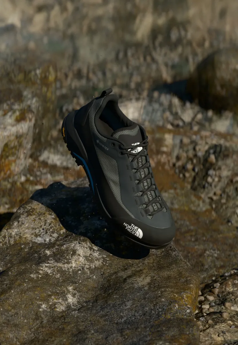VERTO ALPINE GORE TEX - Hikingschuh - asphalt grey/tnf black