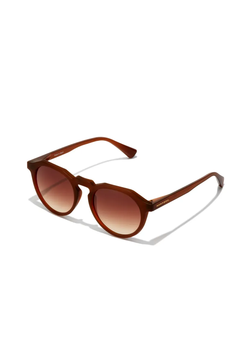 WARWICK RAW POLARIZED - Sonnenbrille - brown