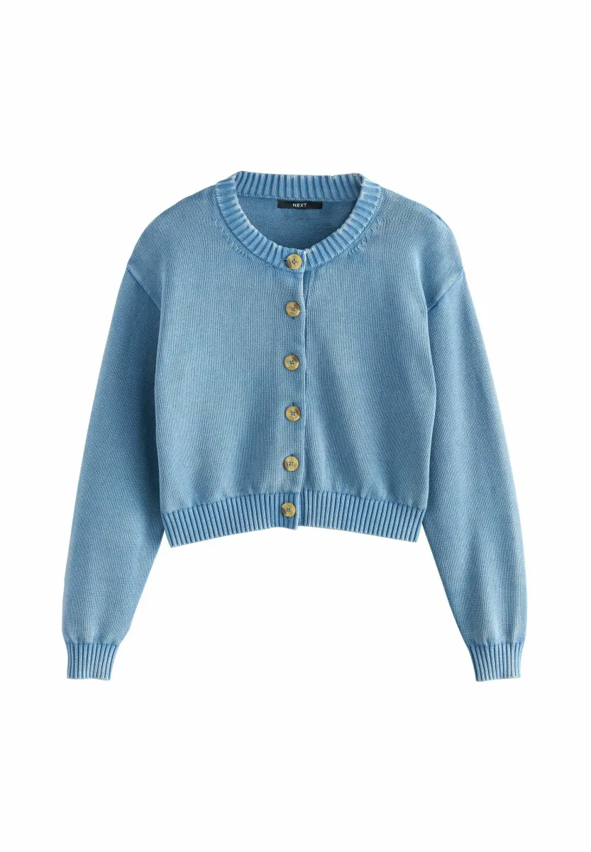 WASHED CREW NECK - Strickjacke - blue