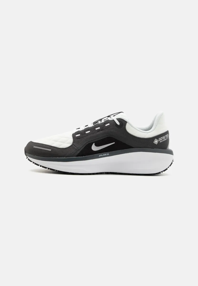 WINFLO 11 GORE-TEX - Laufschuh Straße - anthracite/black/photon dust/metallic silver