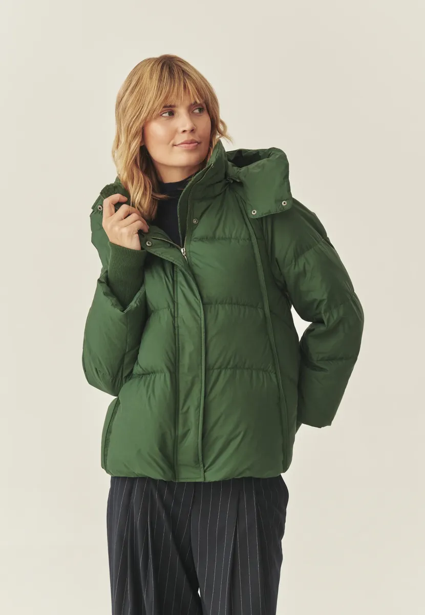 Winterjacke - green