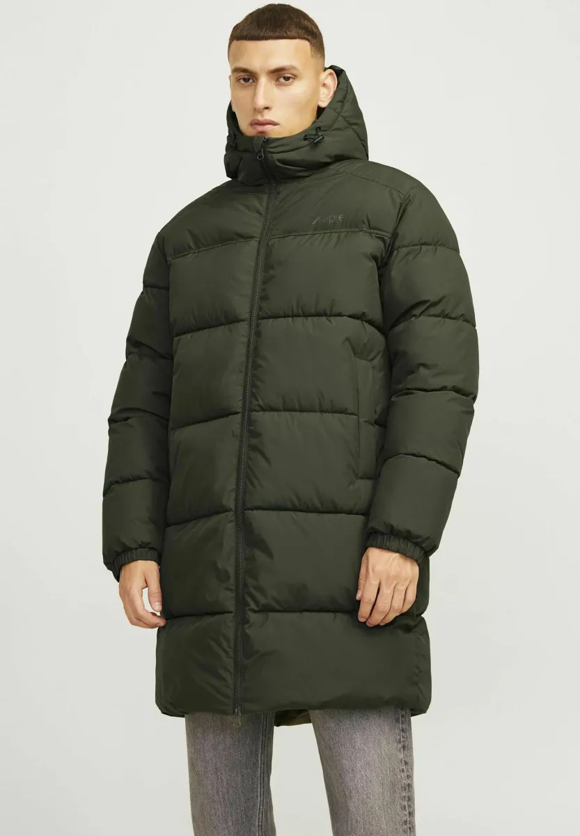 Wintermantel - forest night