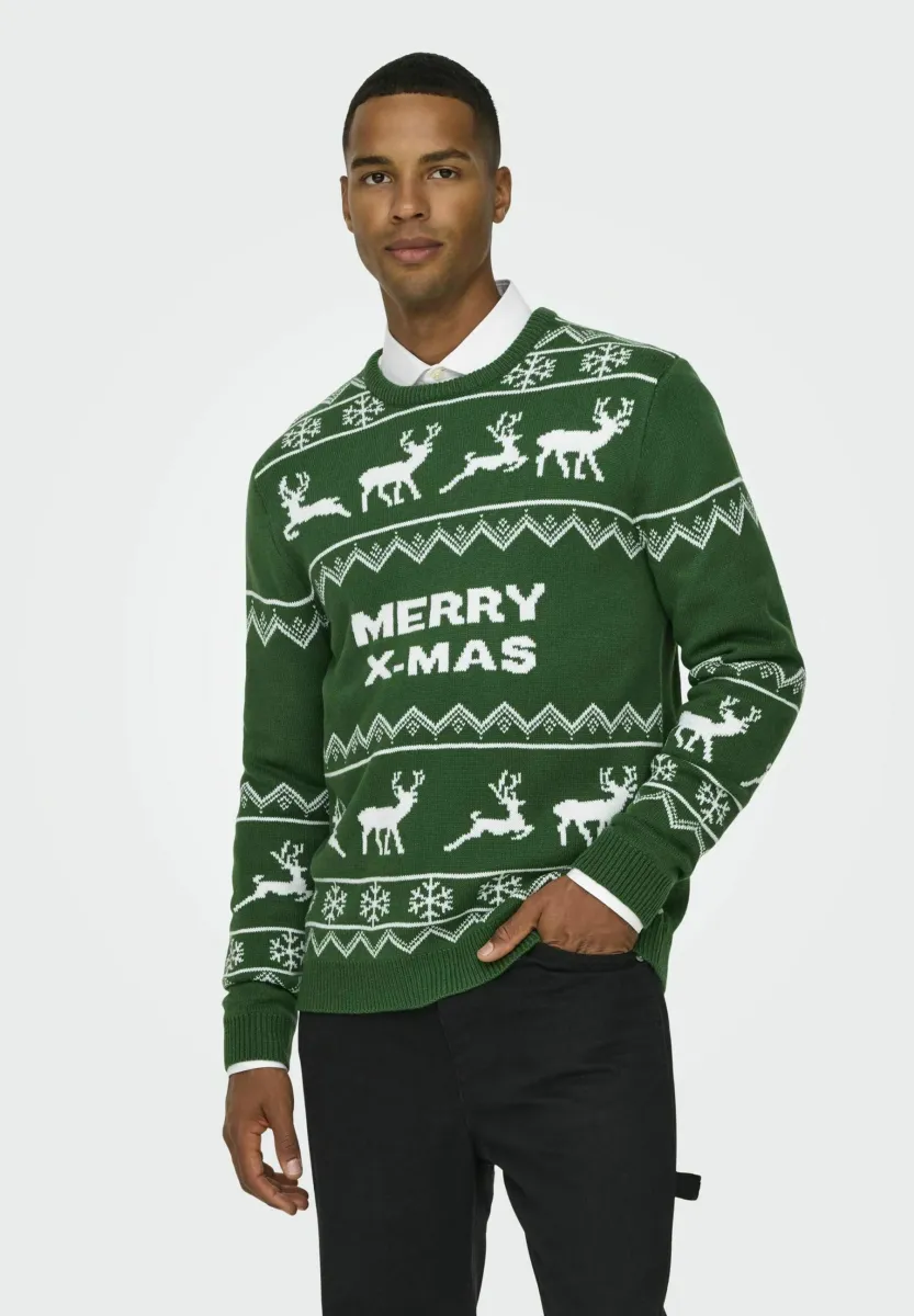 XMAS ALLOVER R-NECK - Strickpullover - formal garden
